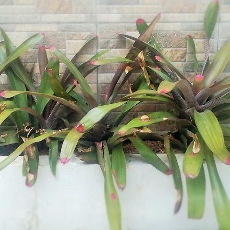 Homestay Bumi Asri III Cikutra บันดุง ภายนอก รูปภาพ